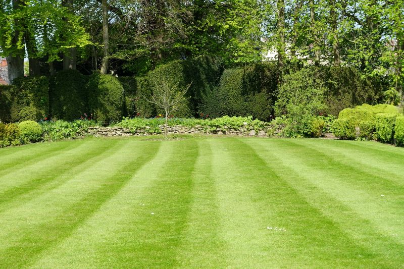 Completed Lawn with Precise Edges