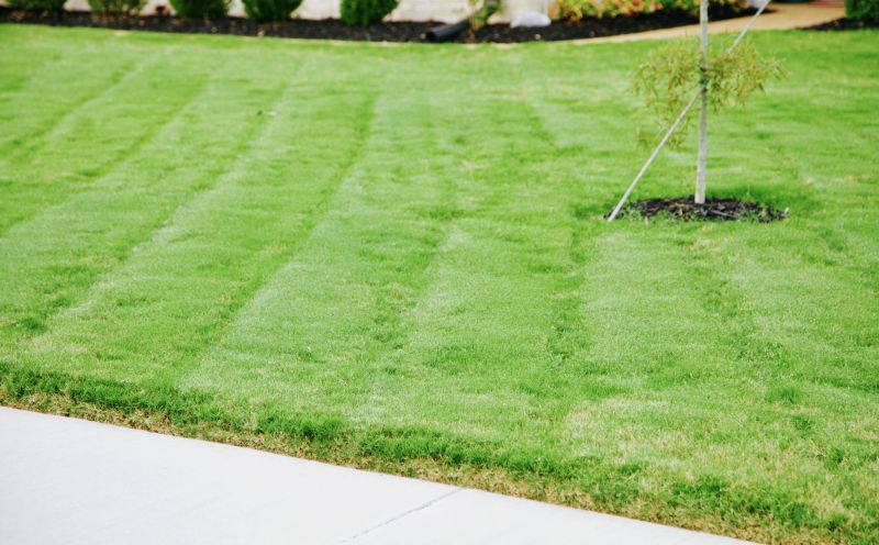 Lawn After Cutting